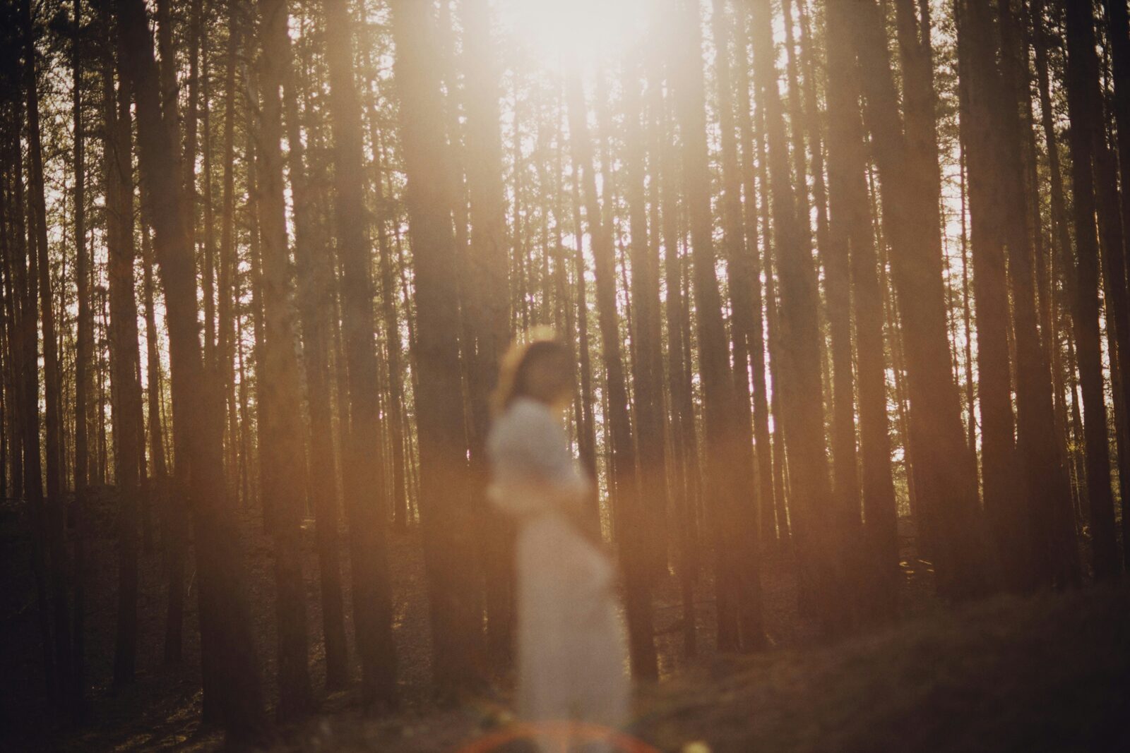 Mujer embarazada en bosque de pinos al atardecer